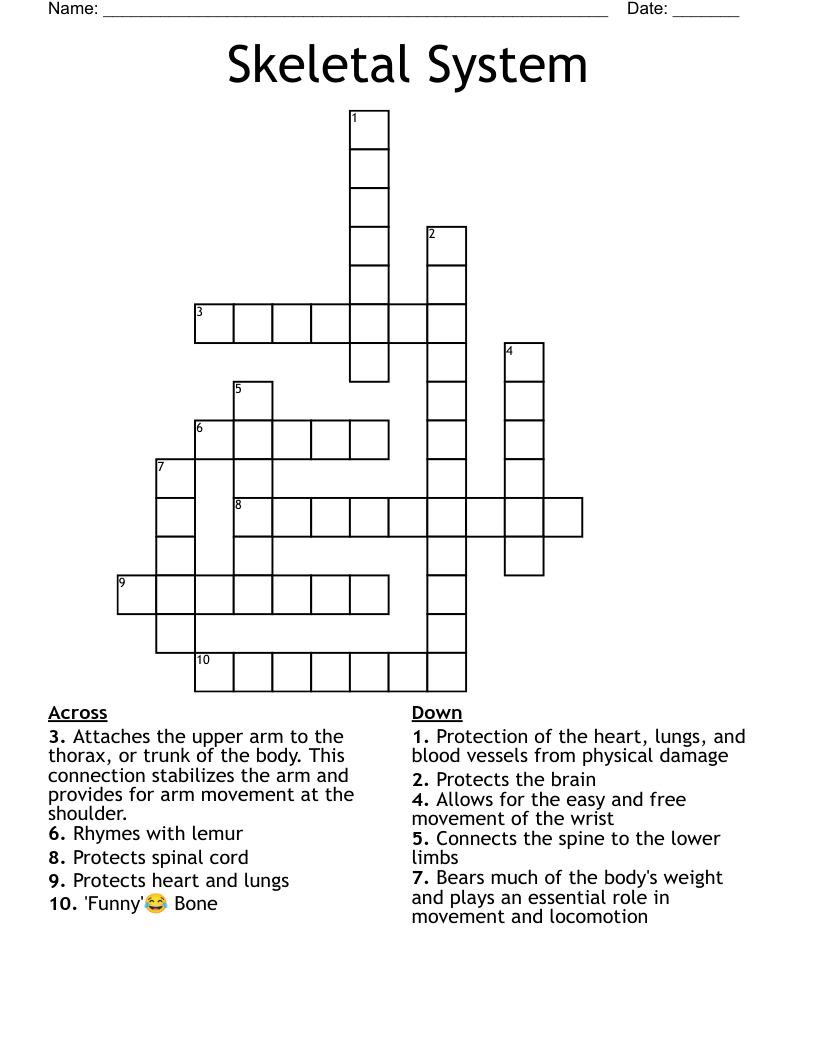 Skeletal System Crossword