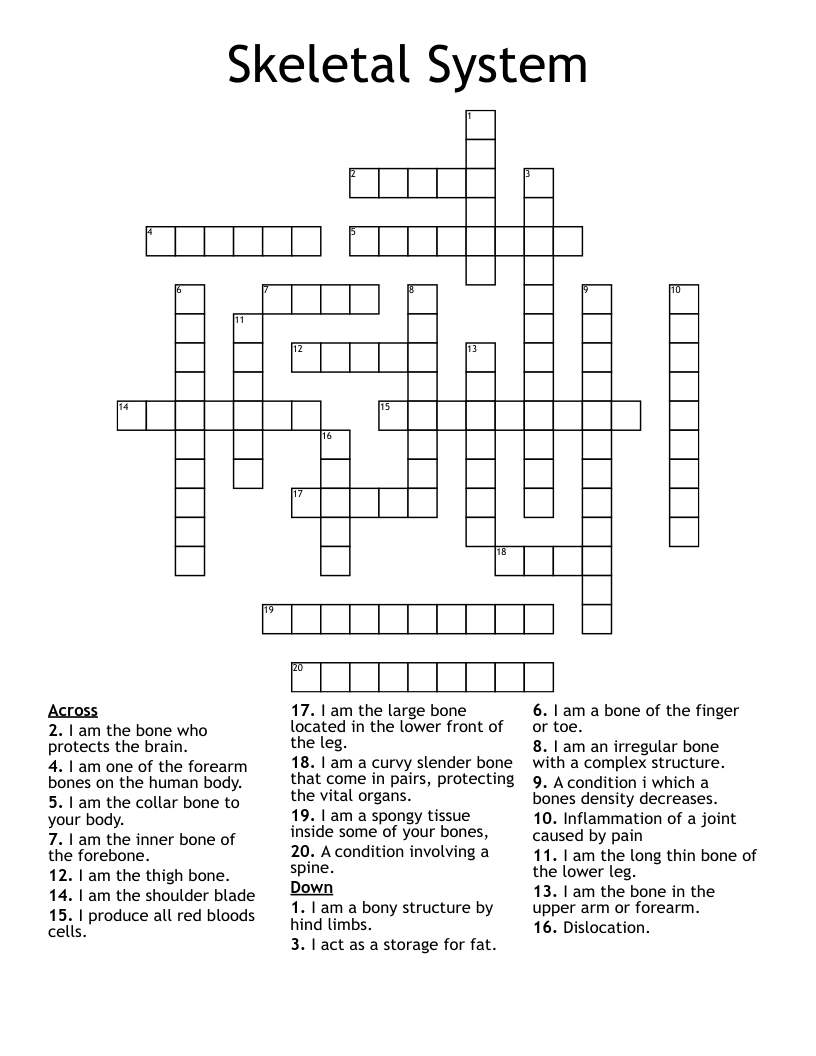 Skeletal System Crossword