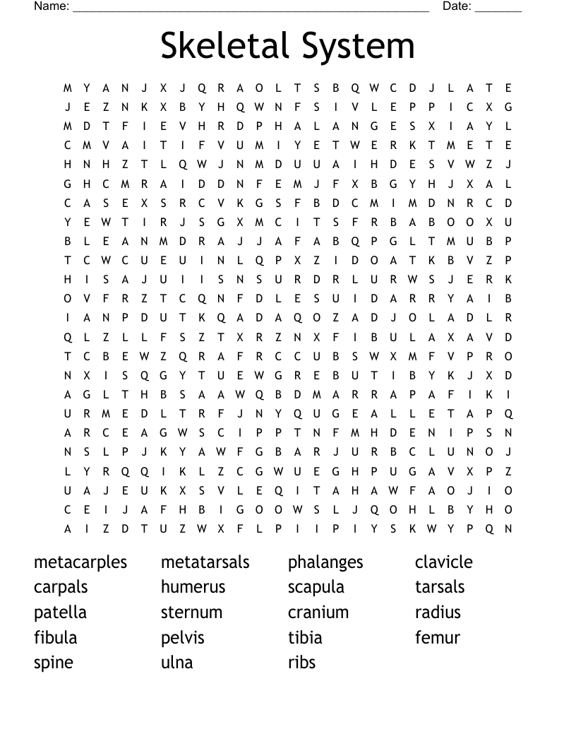 Skeletal System Word Search