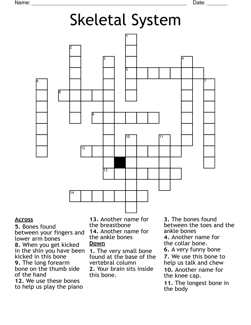 Skeletal System Crossword