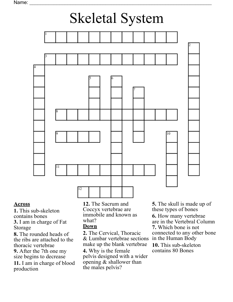 Skeletal System Crossword