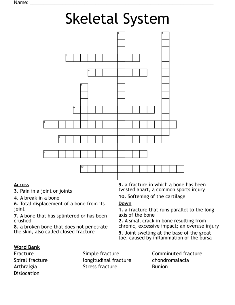 Skeletal System Crossword