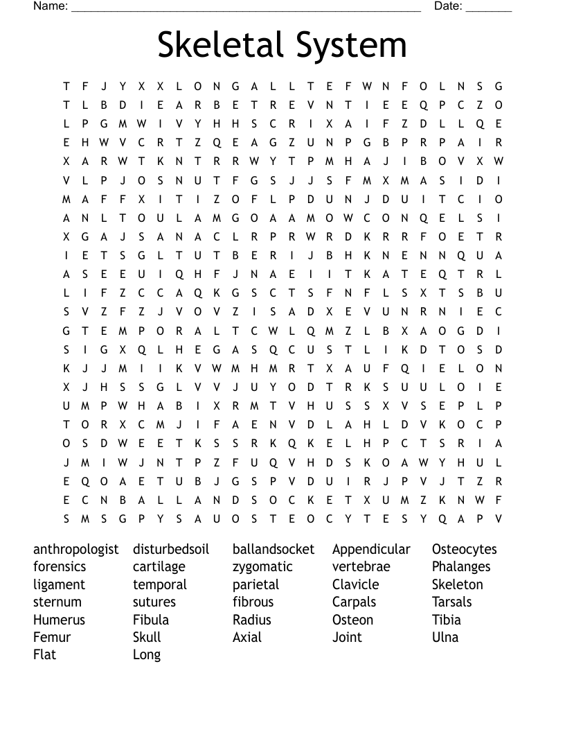 Skeletal System Word Search