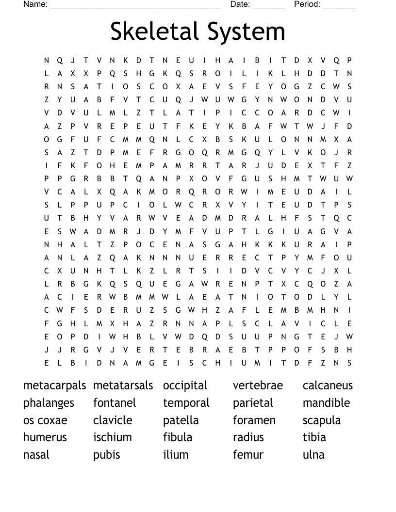 Skeletal System Word Search