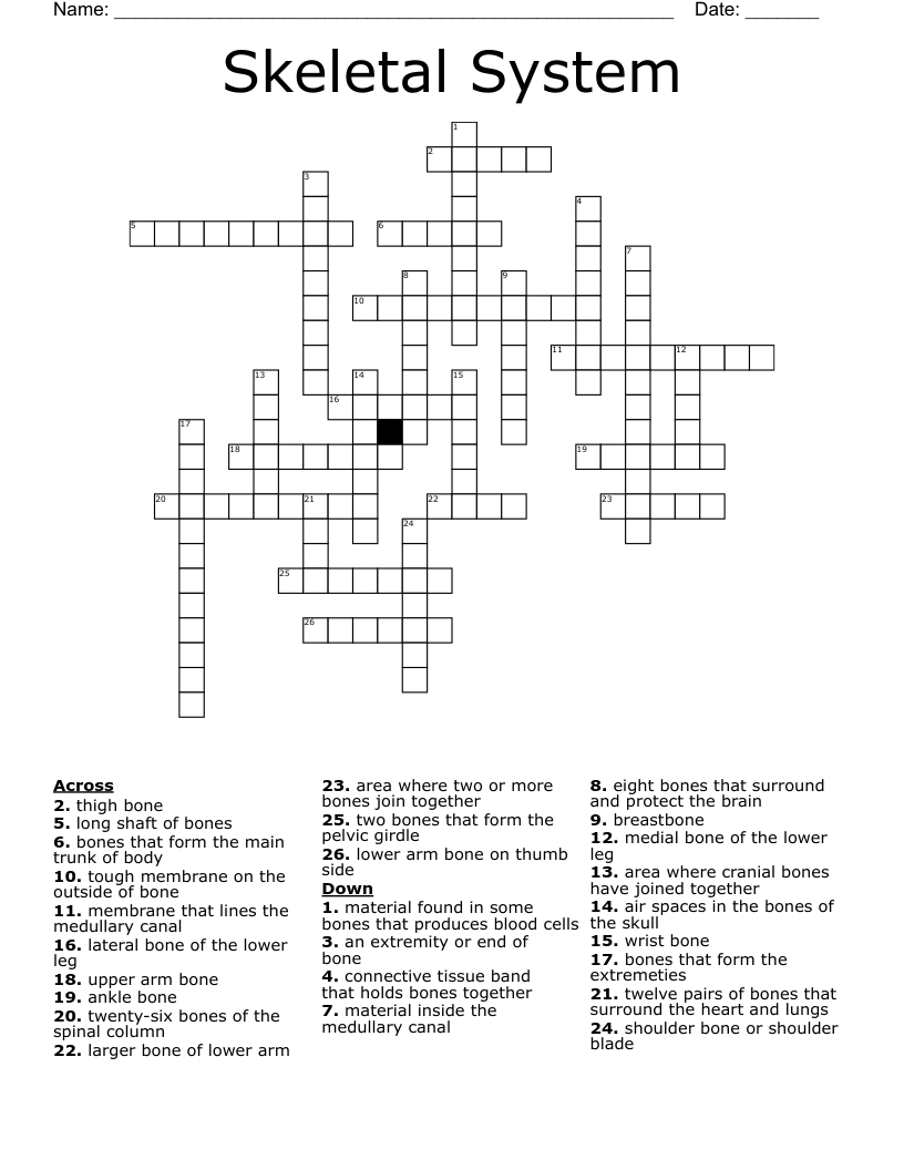 Skeletal System Crossword