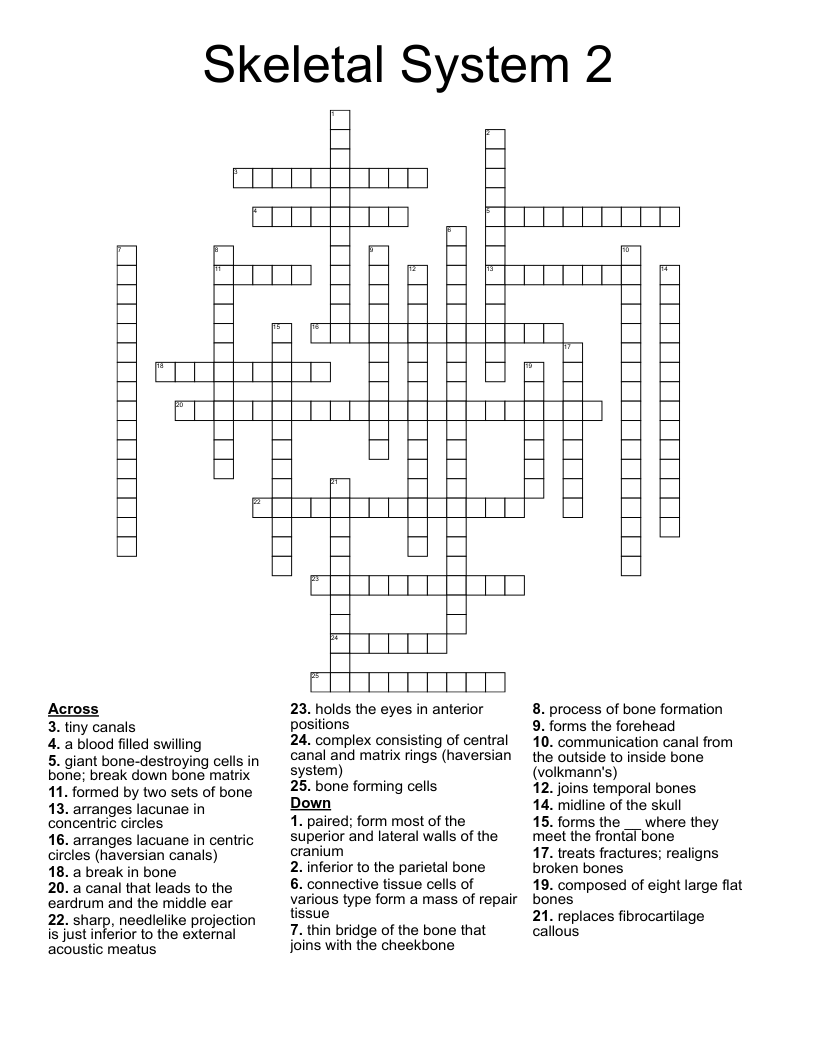 Skeletal System 2 Crossword