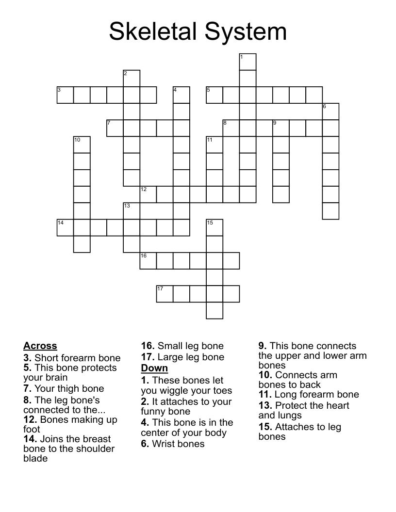 Skeletal System Crossword