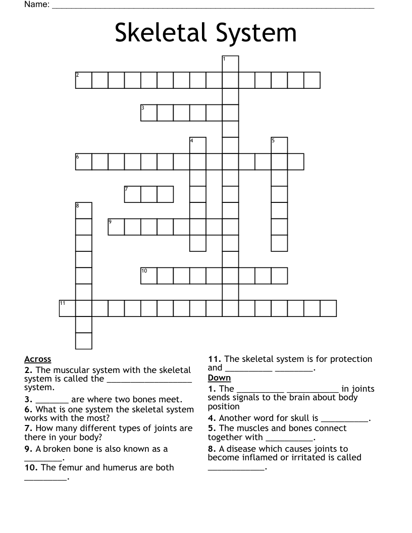 Skeletal System Crossword