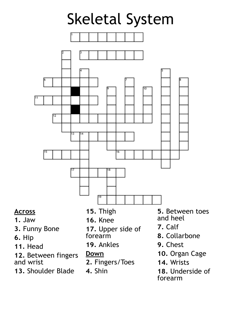 Skeletal System Crossword