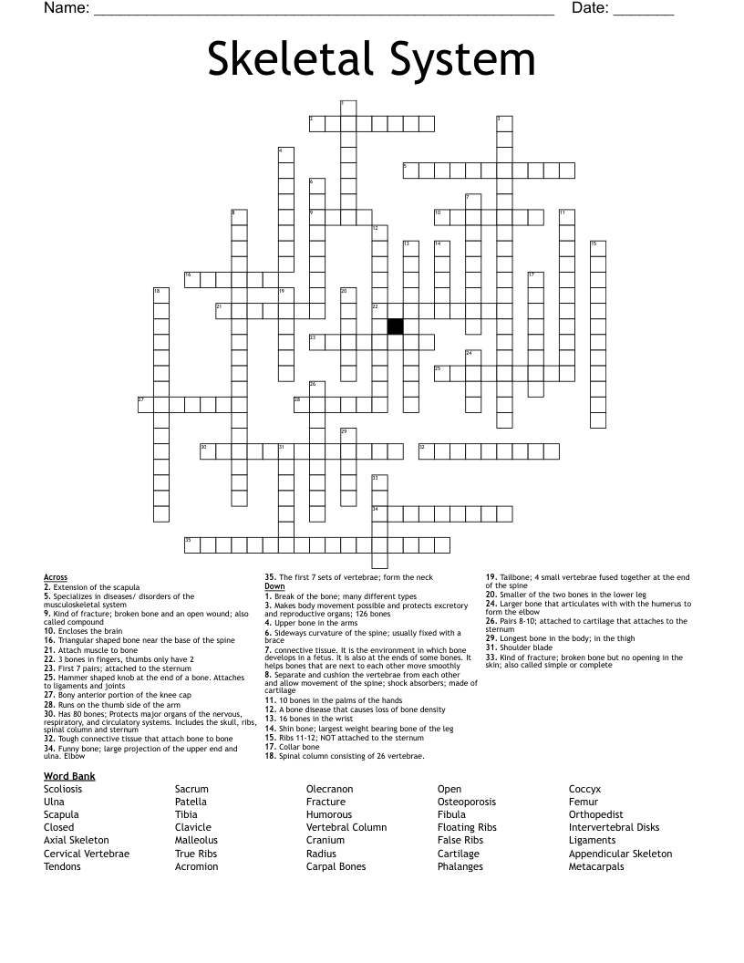 Skeletal System Crossword