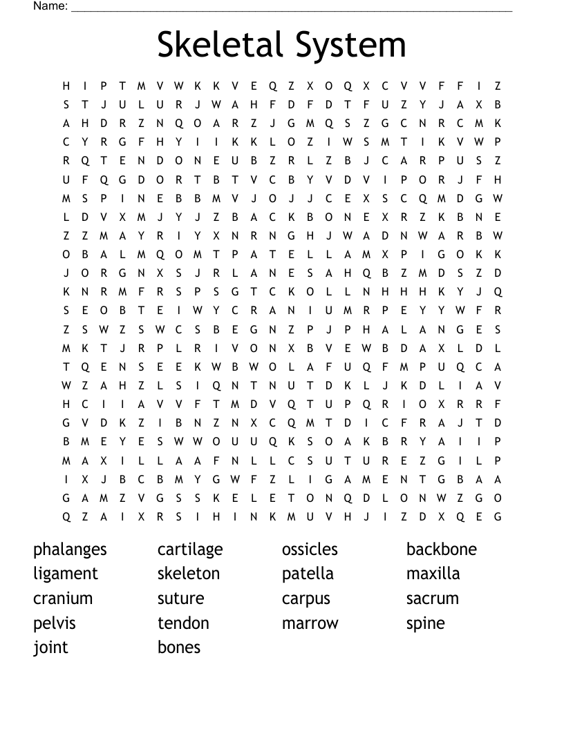 Skeletal System Word Search