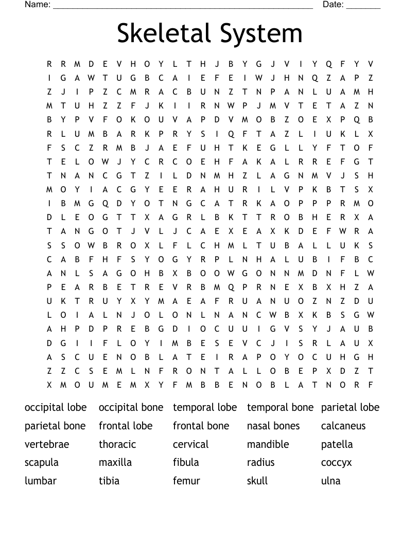 Skeletal System Word Search