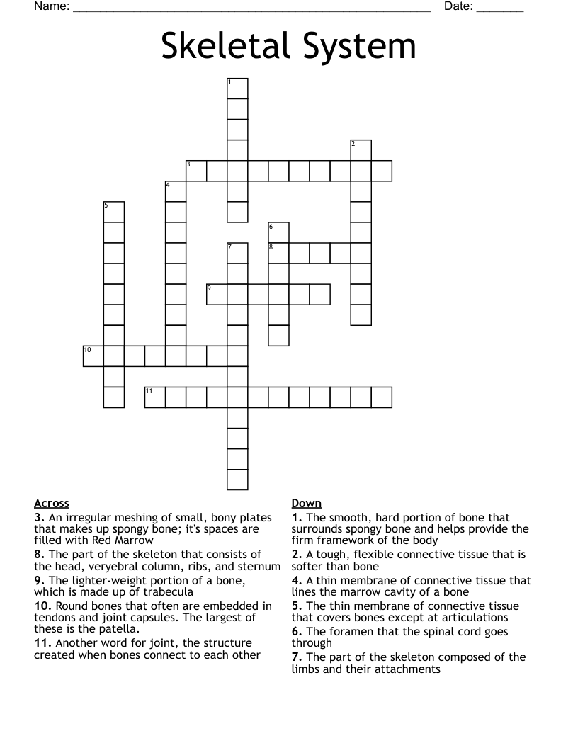 Skeletal System Crossword