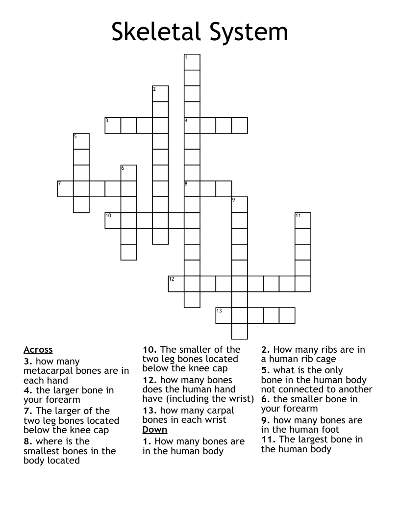 Skeletal System Crossword