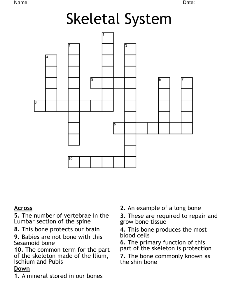 Skeletal System Crossword