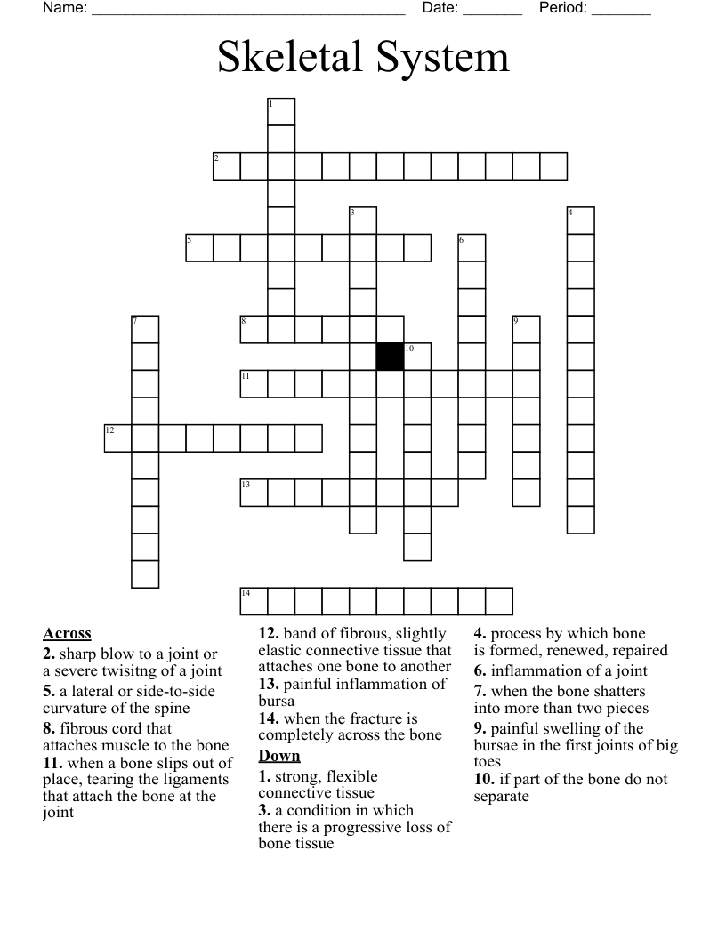 Skeletal System Crossword