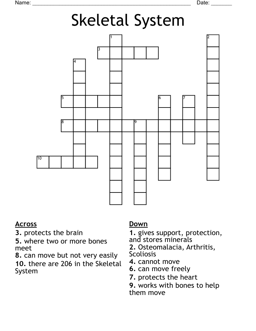 Skeletal System Crossword