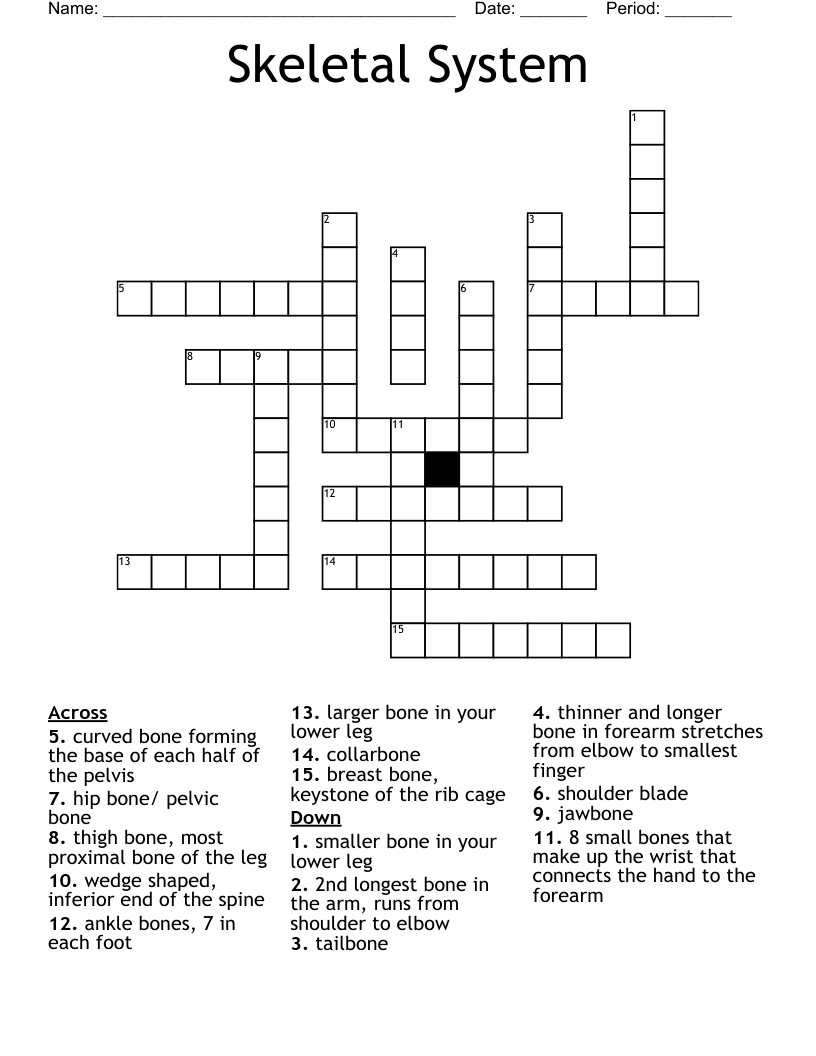Skeletal System Crossword