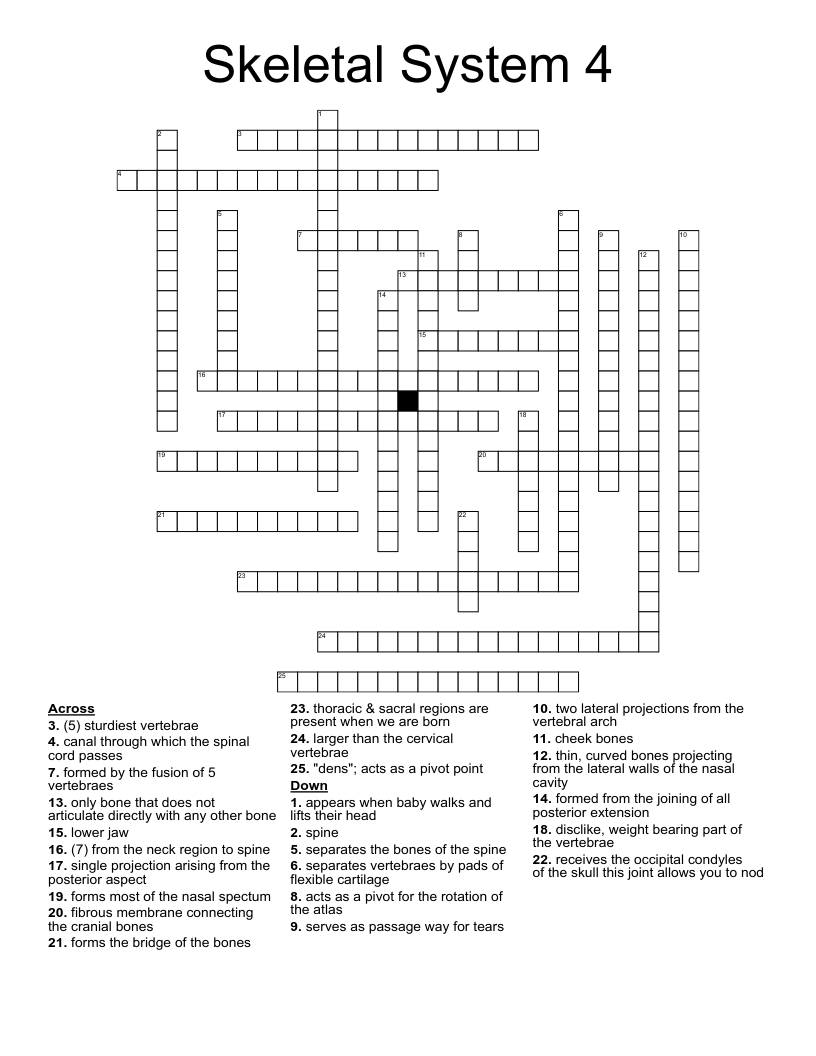 Skeletal System 4 Crossword