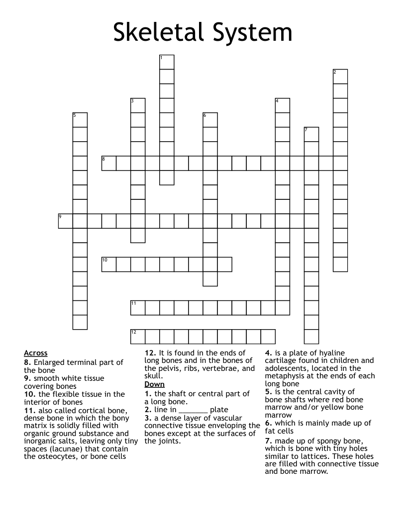 Skeletal System Crossword