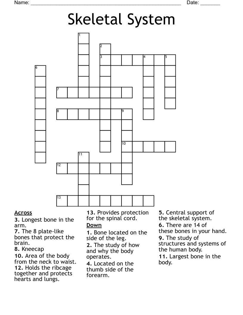 Skeletal System Crossword