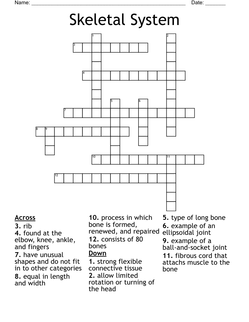 Skeletal System Crossword