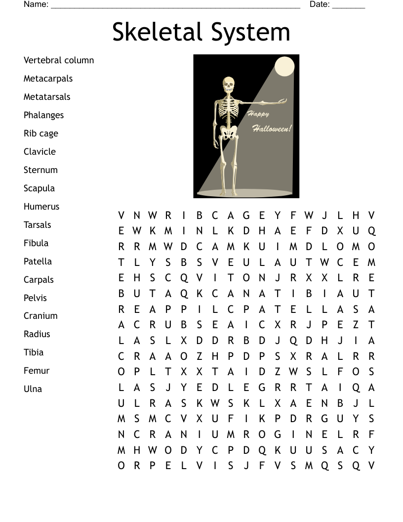 Skeletal System Word Search