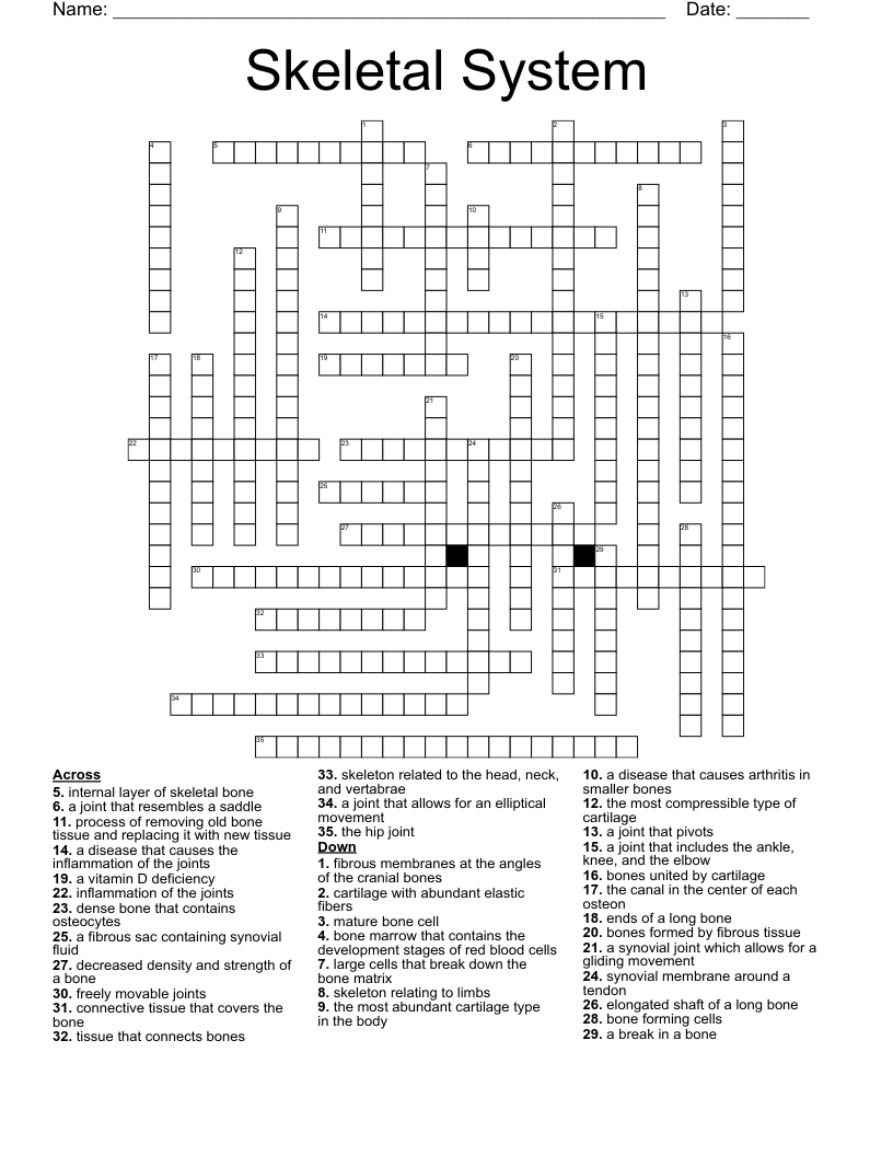 Skeletal System Crossword