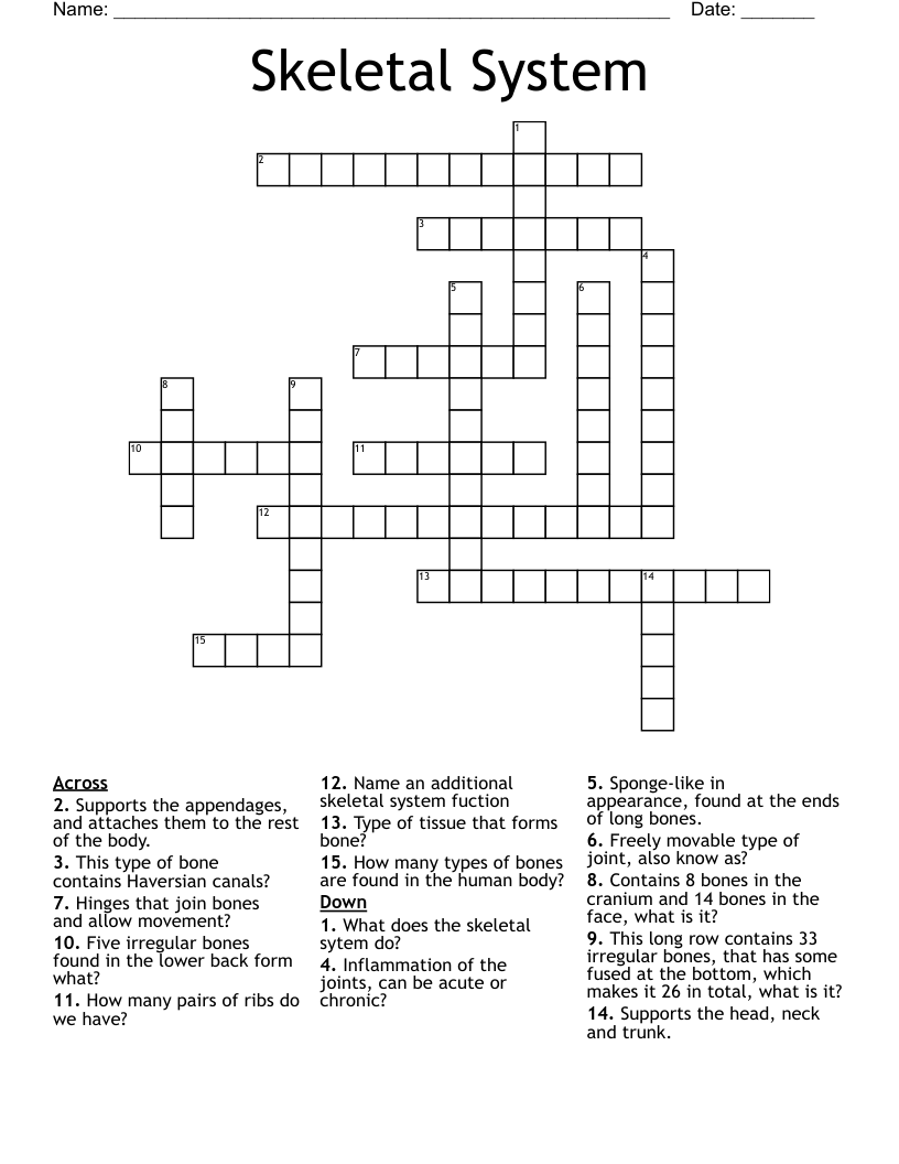 Skeletal System Crossword