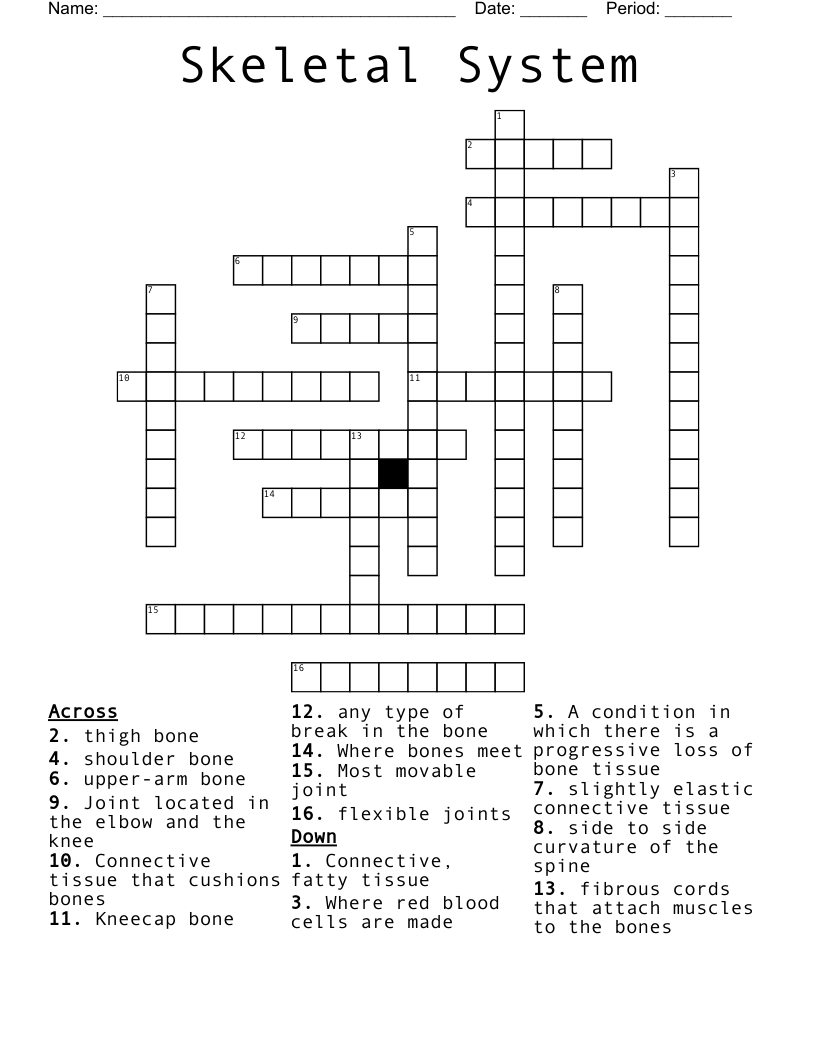 Skeletal System Crossword