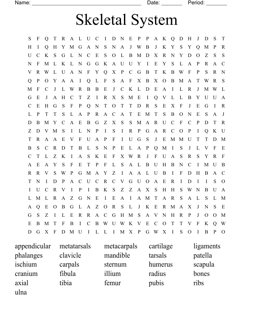 Skeletal System Word Search