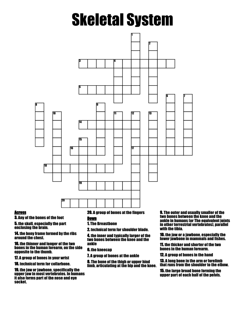Skeletal System Crossword