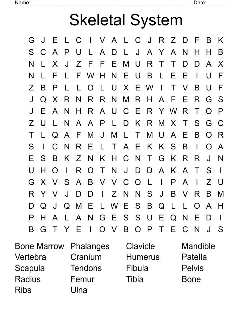 Skeletal System Word Search