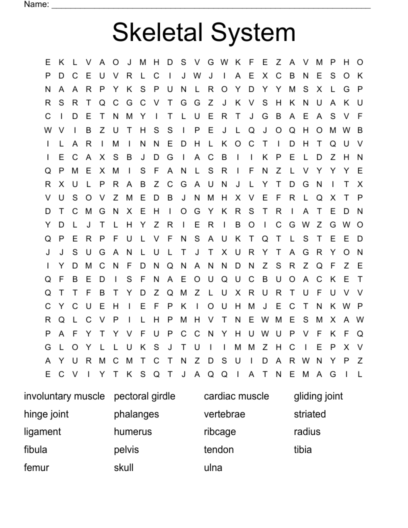 Skeletal System Word Search