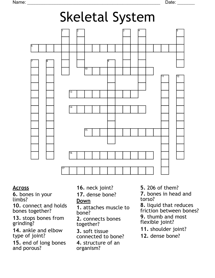 Skeletal System Crossword