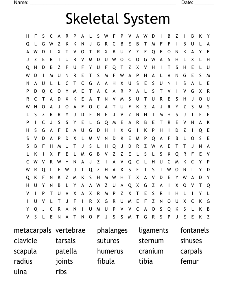 Skeletal System Word Search
