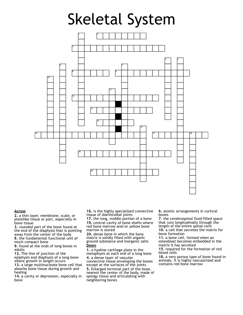 Skeletal System Crossword