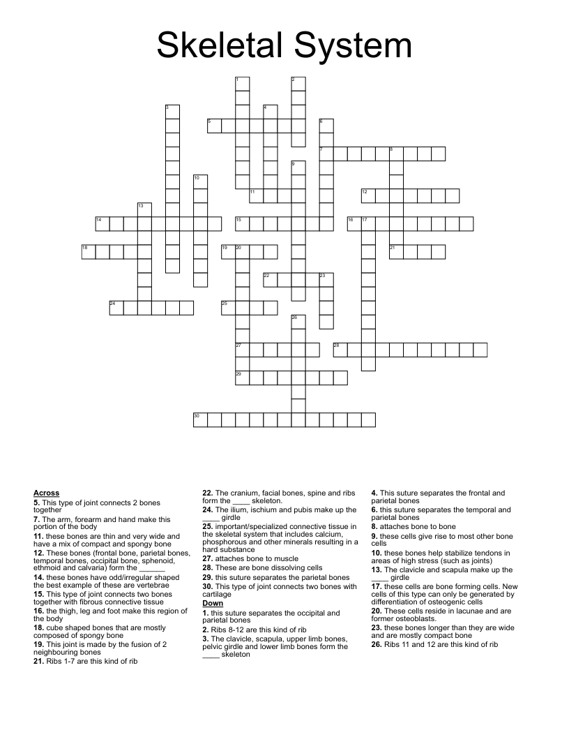 Skeletal System Crossword