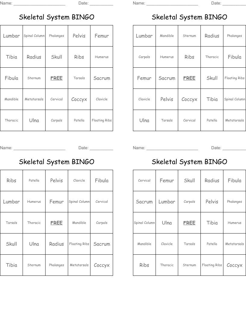 Skeletal System BINGO