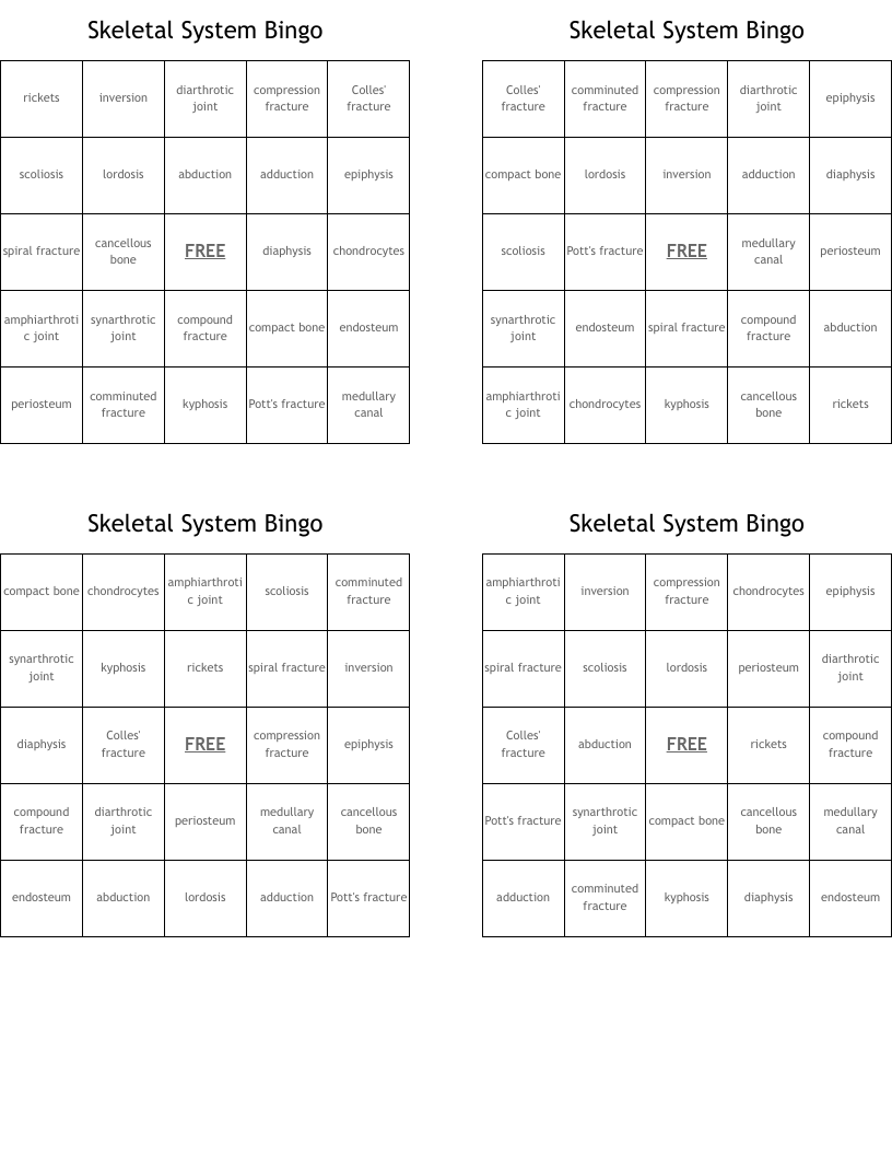 Skeletal System Bingo