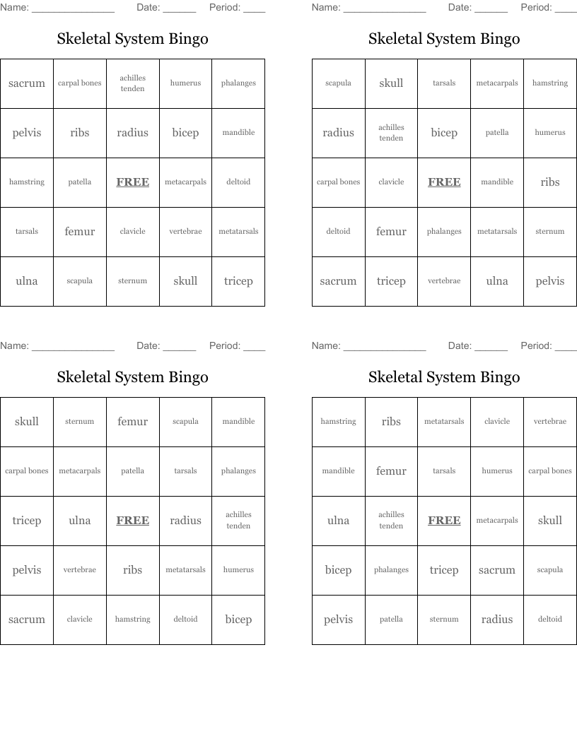 Skeletal System Bingo
