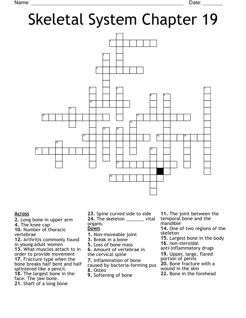 Skeletal System Chapter 19 Crossword