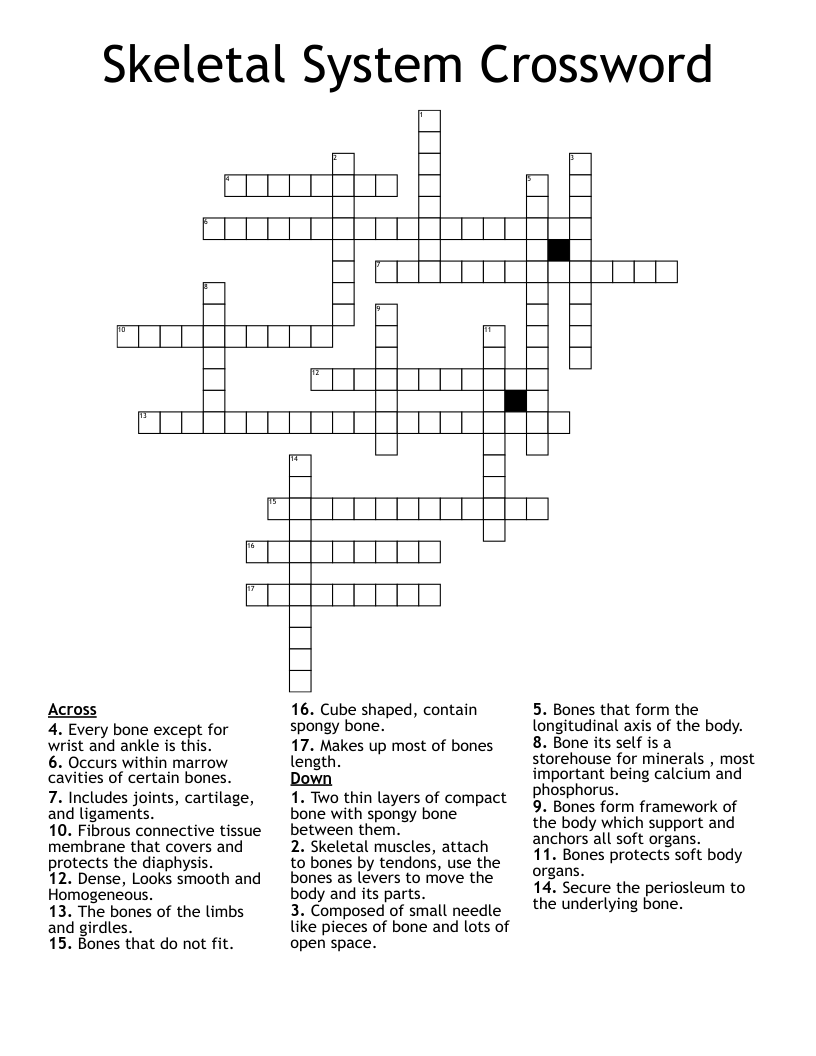 Skeletal System Crossword