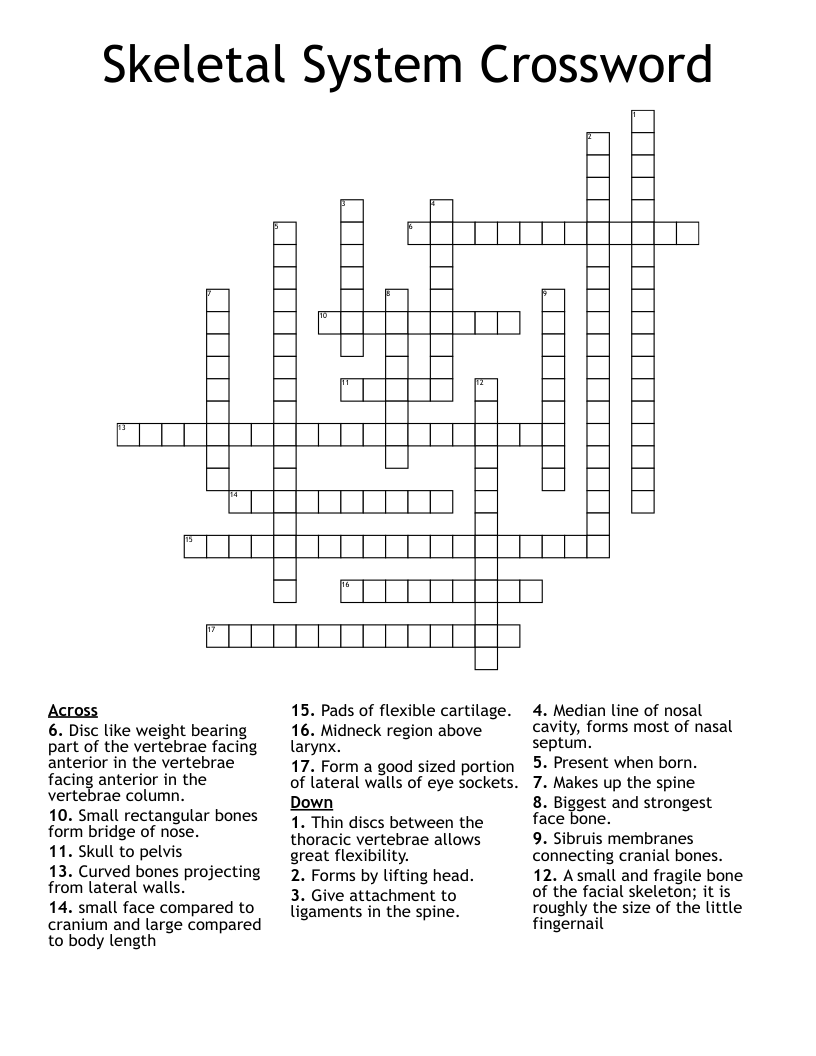 Skeletal System Crossword