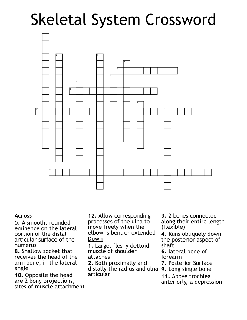 Skeletal System Crossword