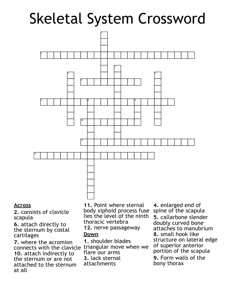Skeletal System Crossword