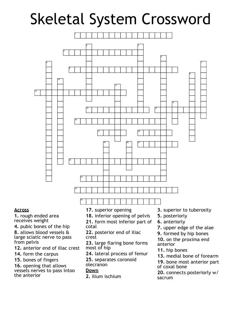 Skeletal System Crossword
