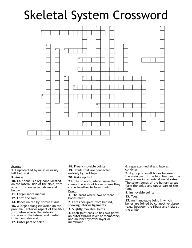 Skeletal System Crossword