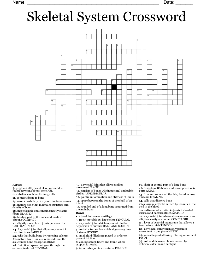 Skeletal System Crossword