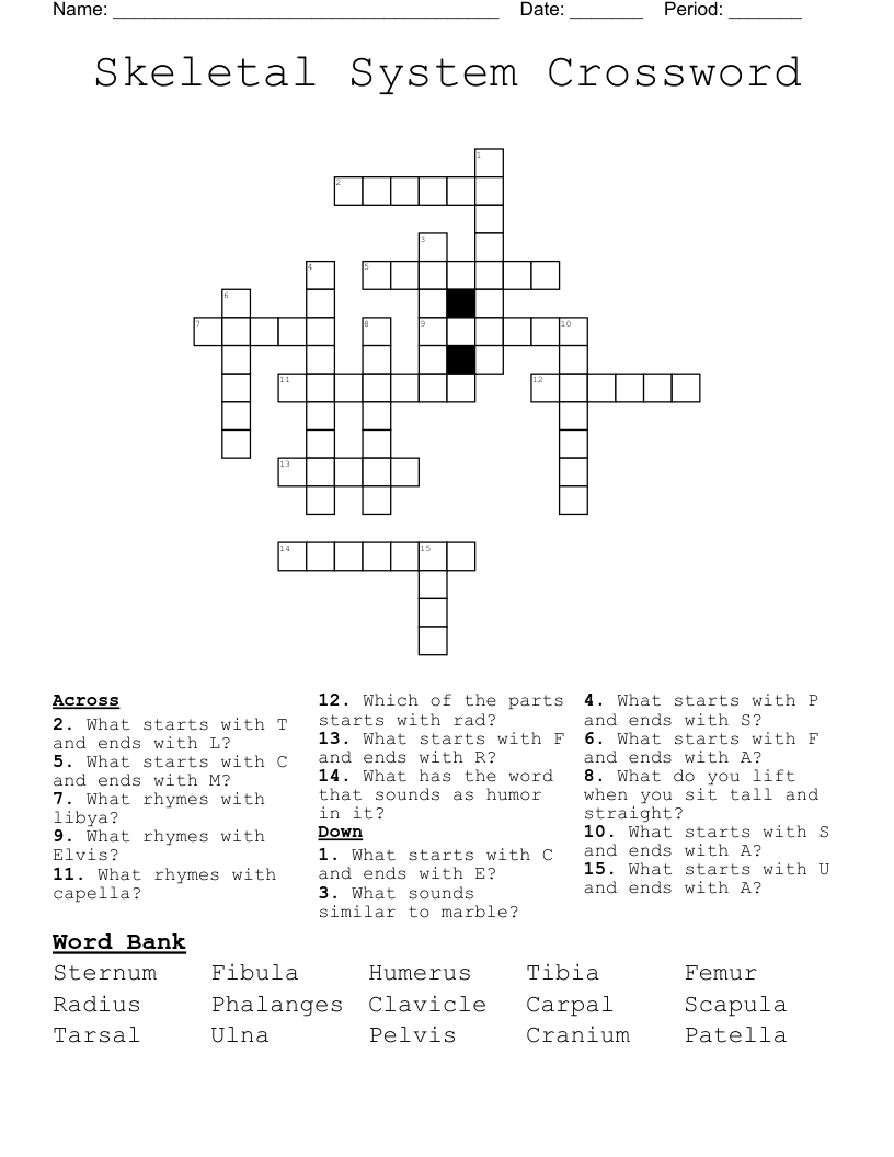 Skeletal System Crossword